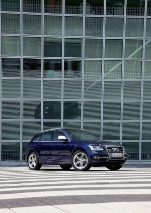 Audi SQ5 TDI 2013 года  (WW)